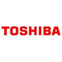 Ремонт ноутбука Toshiba в Менделевске
